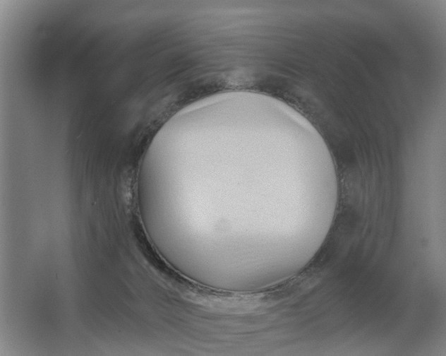 X0000062910032200601271751