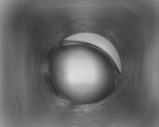 X0000062910033200601271751