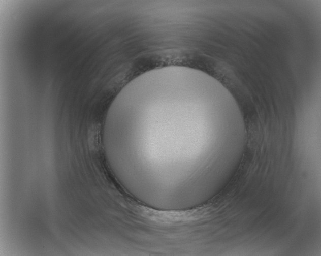 X0000062910034200601271751