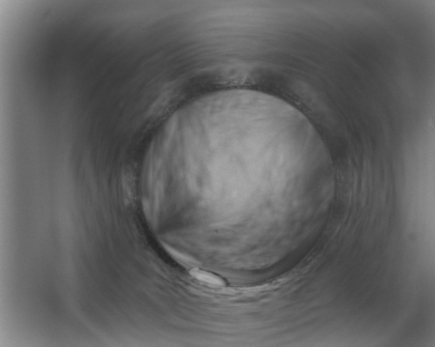 X0000062910035200601271751