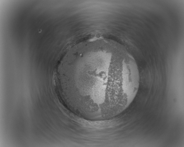 X0000062910038200601271751