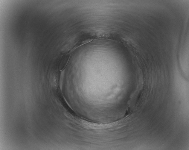 X0000062910039200601271751