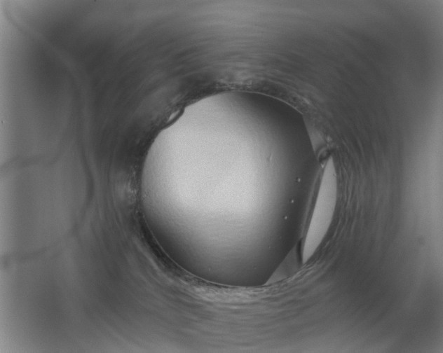 X0000062910040200601271751