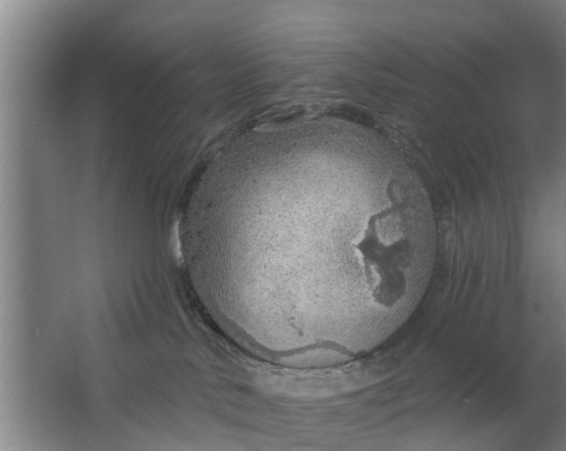 X0000062910042200601271751