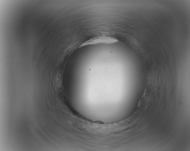 X0000062910043200601271751