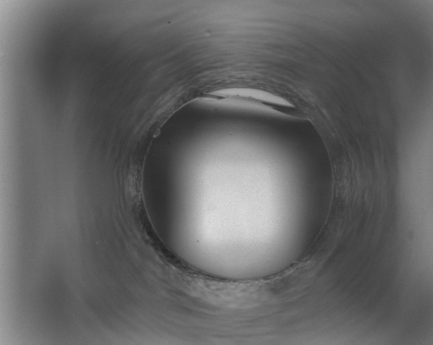 X0000062910044200601271751