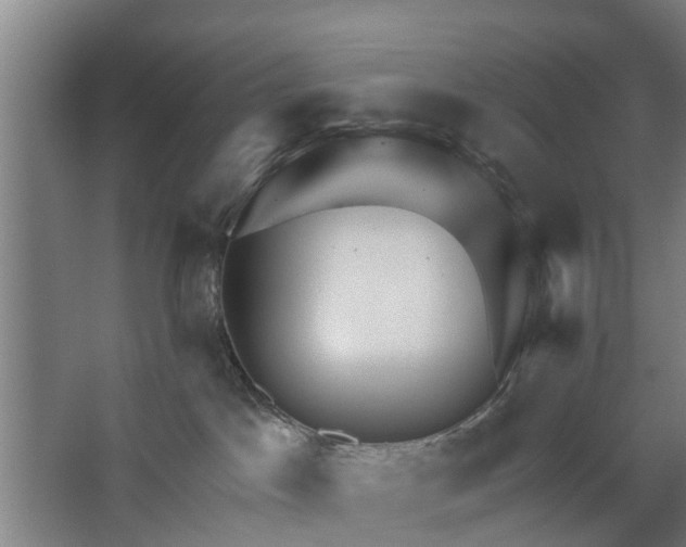 X0000062910045200601271751