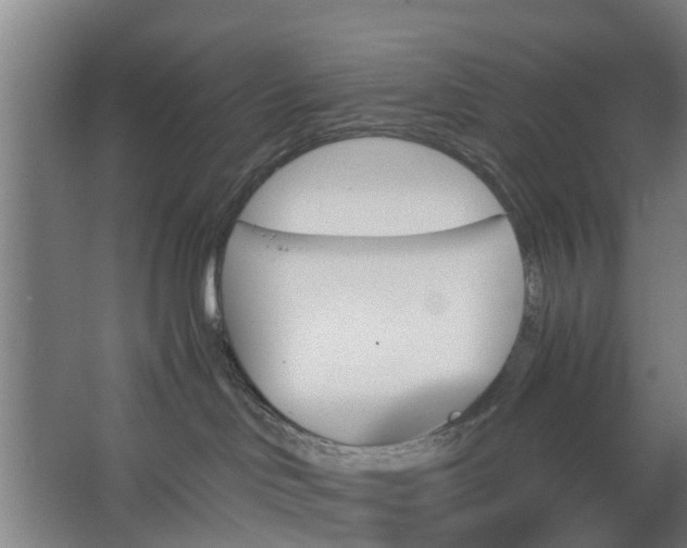 X0000062910046200601271751