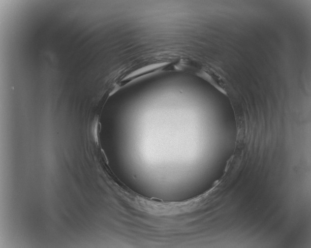 X0000062910047200601271751