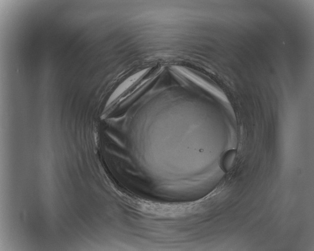 X0000062910048200601271751