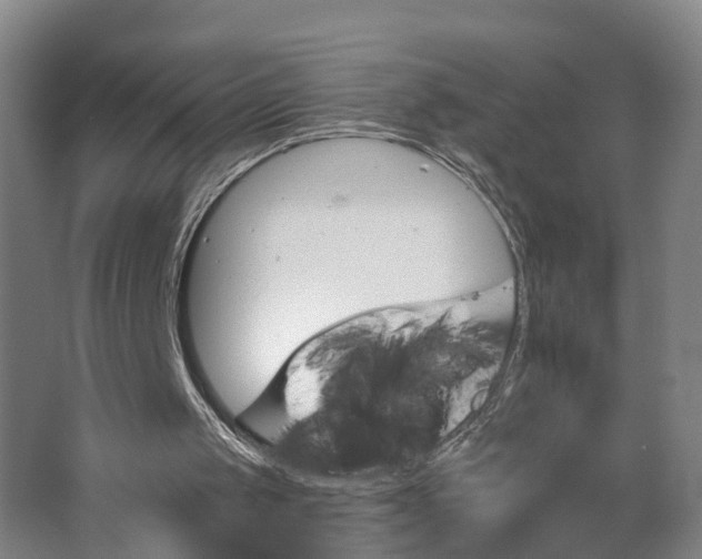 X0000062910049200601271750