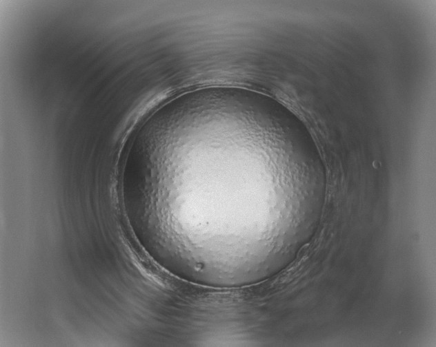 X0000062910050200601271750