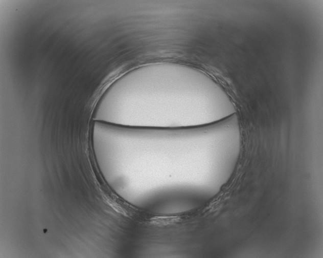 X0000062910051200601271750