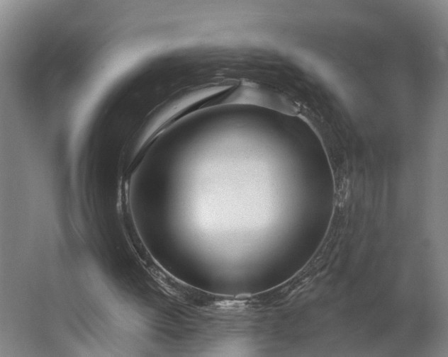 X0000062910052200601271750