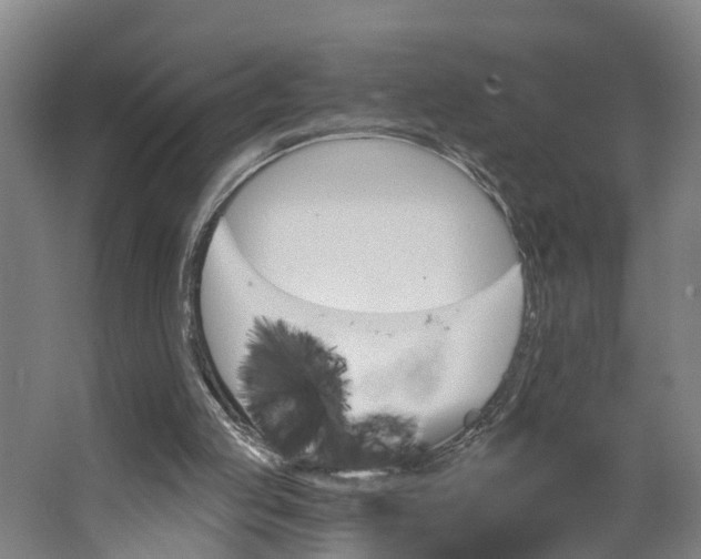 X0000062910053200601271750