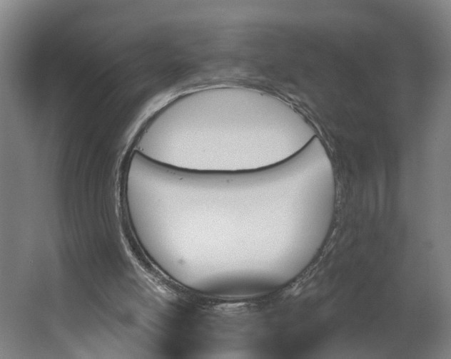 X0000062910054200601271750