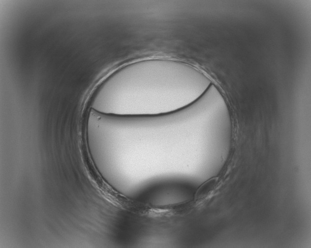 X0000062910055200601271750