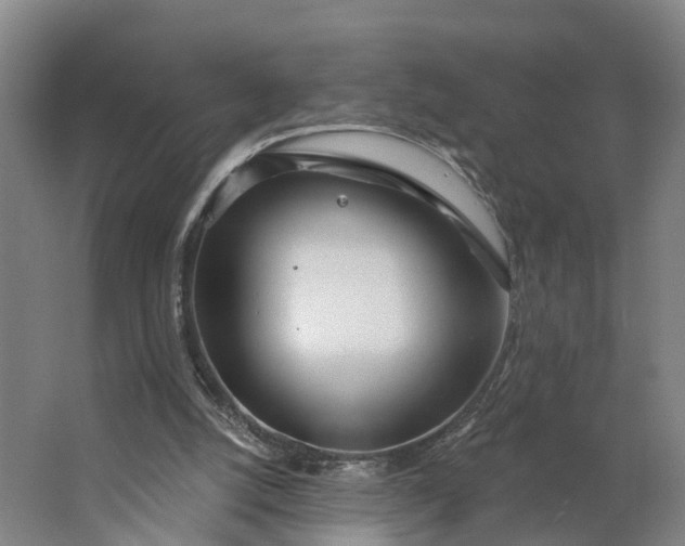 X0000062910056200601271750