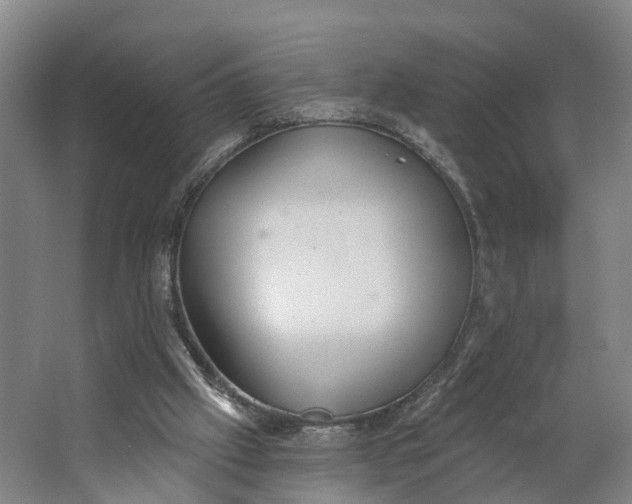 X0000062910057200601271750