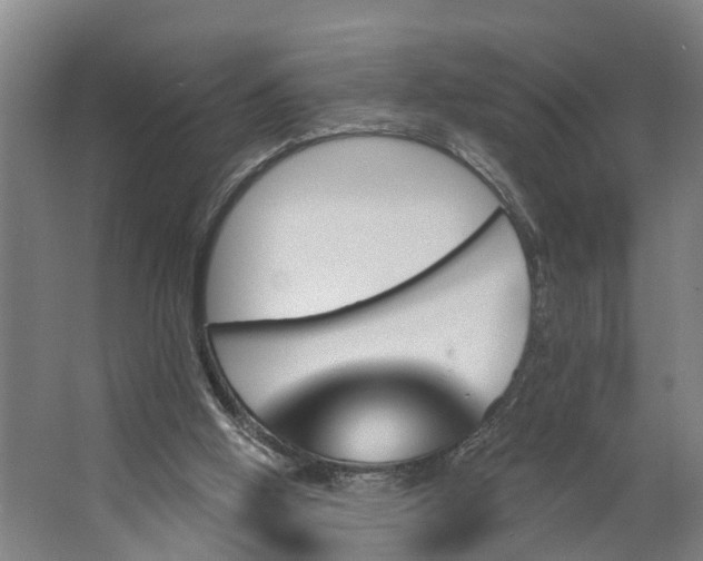 X0000062910058200601271750