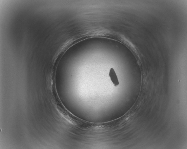 X0000062910059200601271750