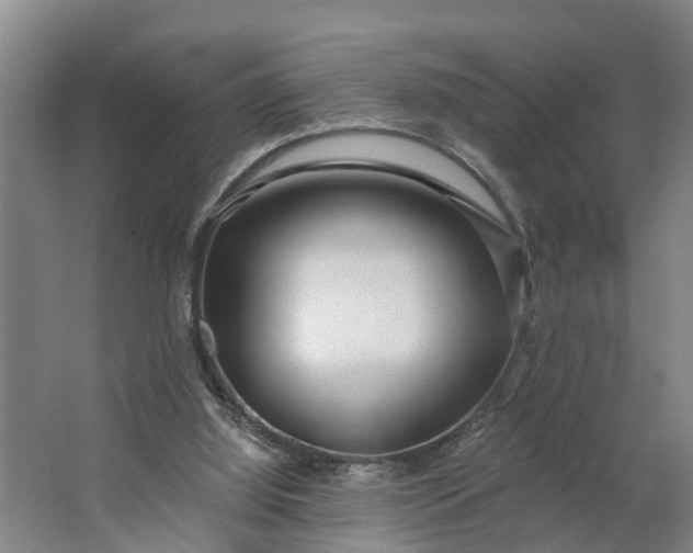 X0000062910060200601271750