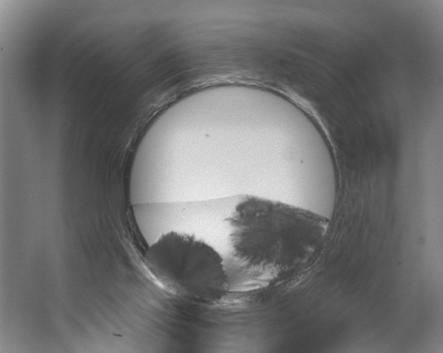 X0000062910061200601271750