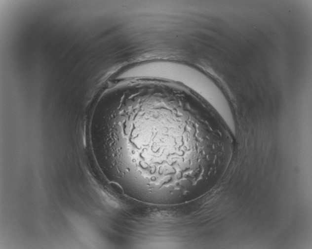 X0000062910062200601271750