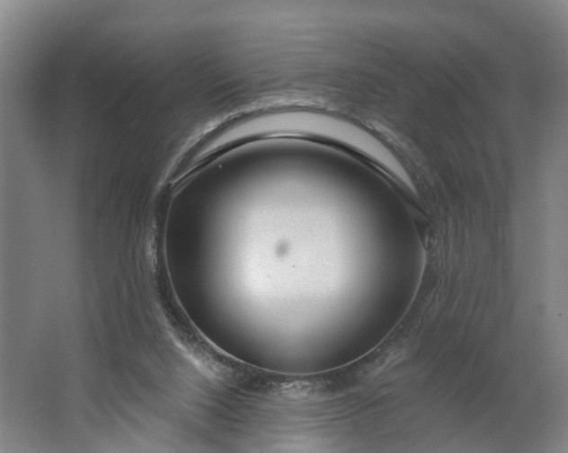 X0000062910064200601271750