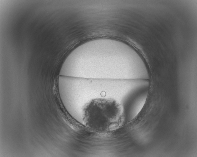 X0000062910065200601271750