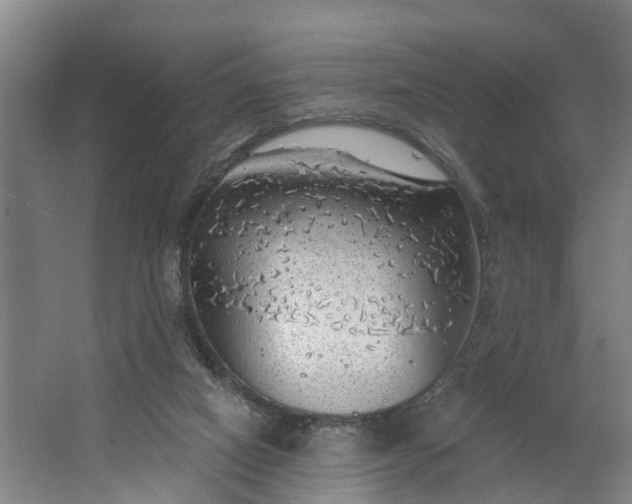 X0000062910066200601271750