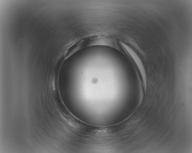 X0000062910068200601271750