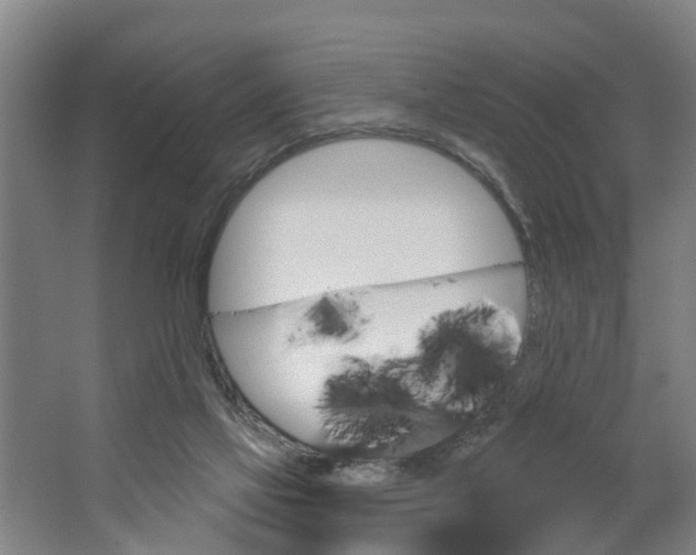 X0000062910069200601271750