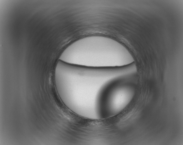 X0000062910071200601271750