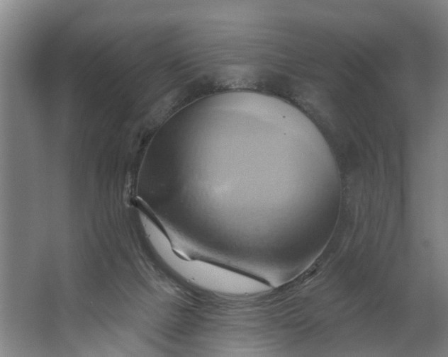 X0000062910073200601271750