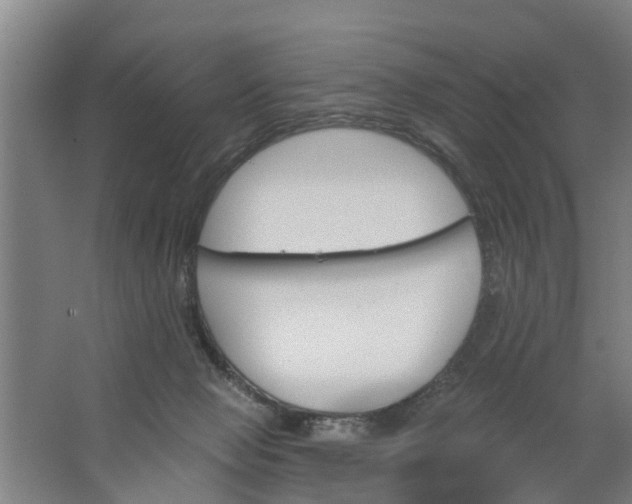 X0000062910077200601271750