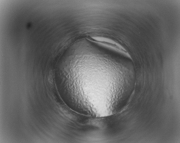 X0000062910078200601271750