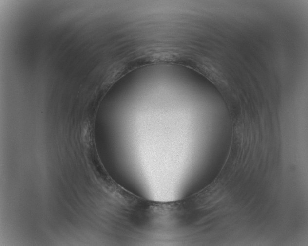 X0000062910079200601271750