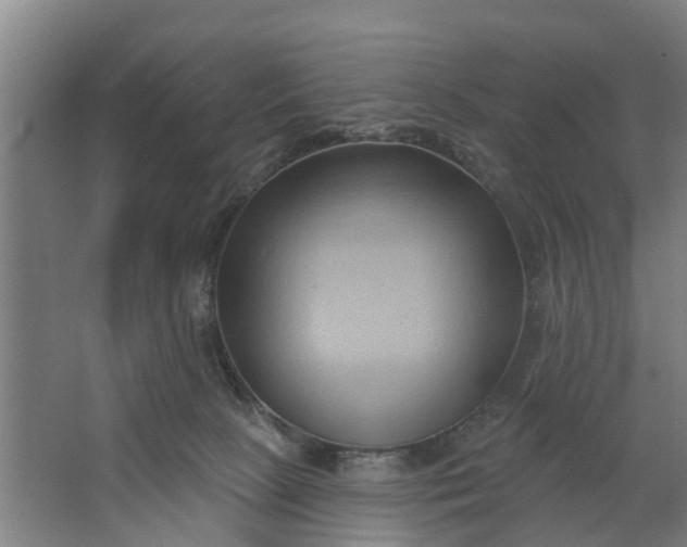 X0000062910081200601271750