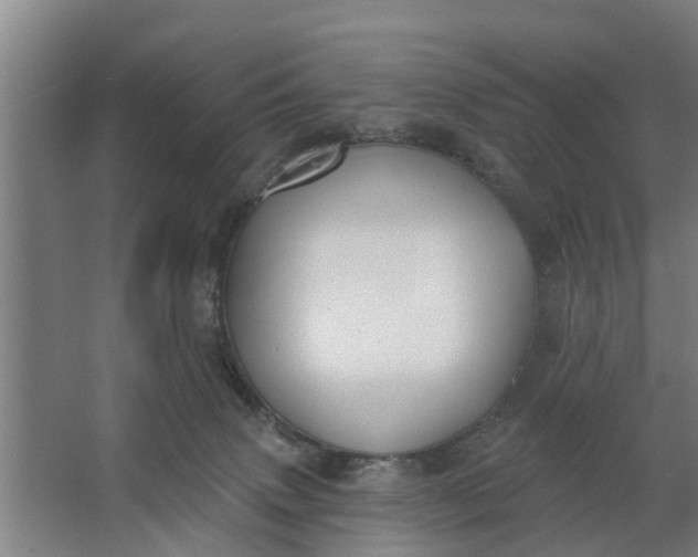 X0000062910083200601271750