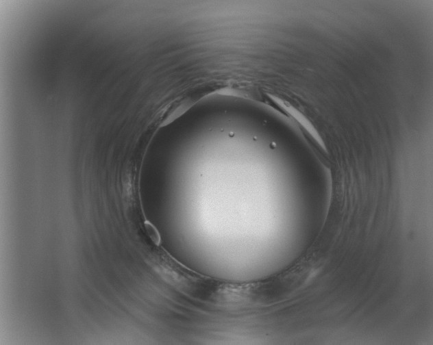 X0000062910084200601271750