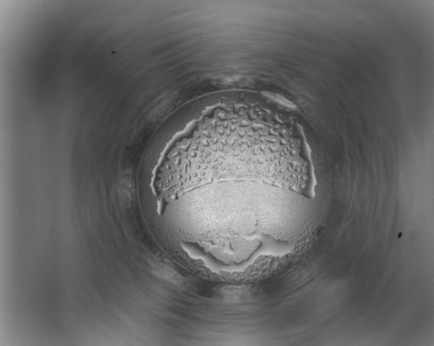 X0000062910085200601271750