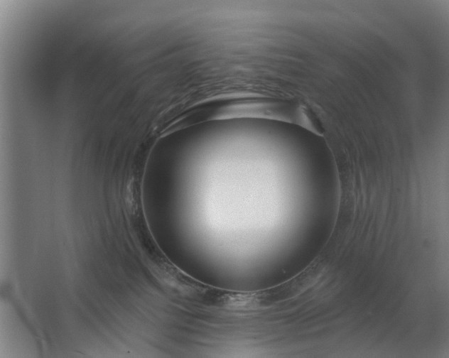 X0000062910088200601271750