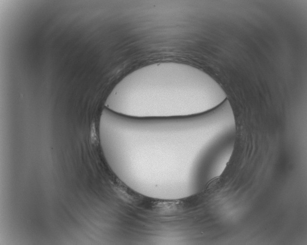 X0000062910089200601271750