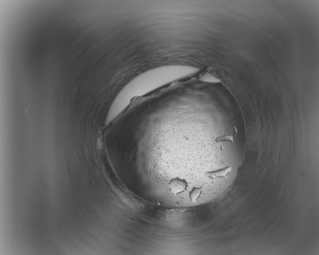 X0000062910090200601271750