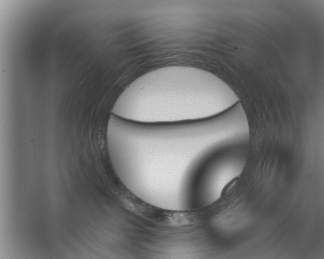 X0000062910091200601271750