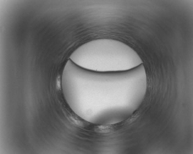 X0000062910095200601271750