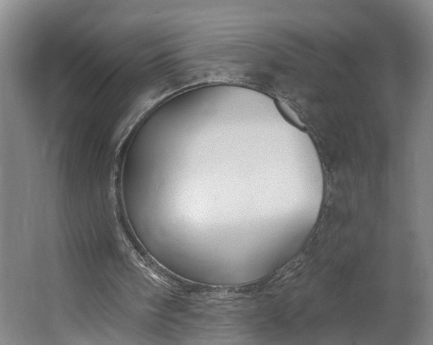 X0000062910098200601271750