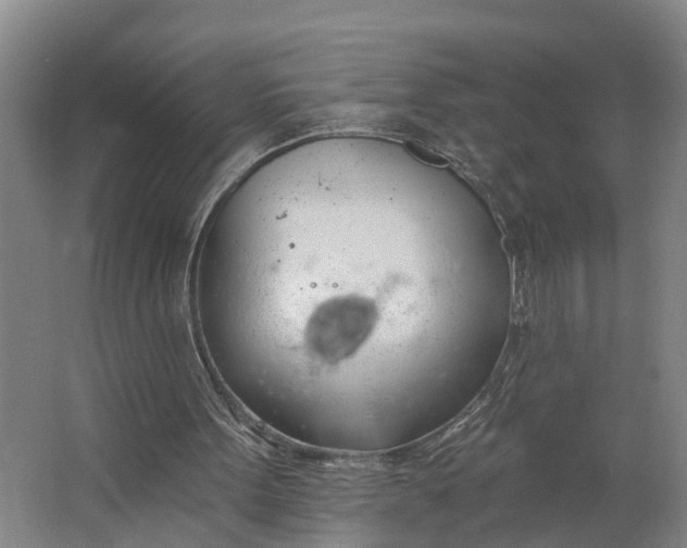 X0000062910099200601271750