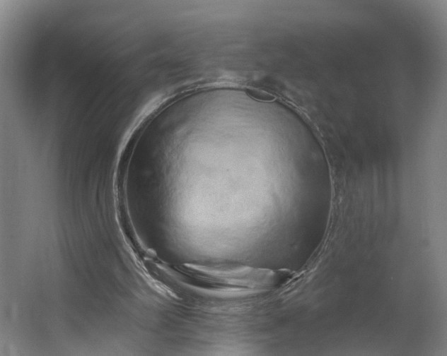 X0000062910102200601271750